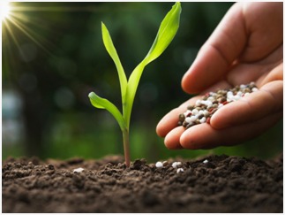 Oil and Gas Refinery